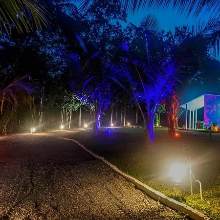 Little Ele Safari Lodge Udawalawe Ngoại thất bức ảnh