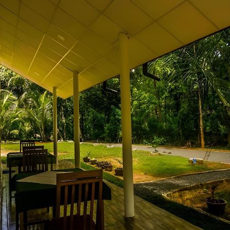 Little Ele Safari Lodge Udawalawe Ngoại thất bức ảnh