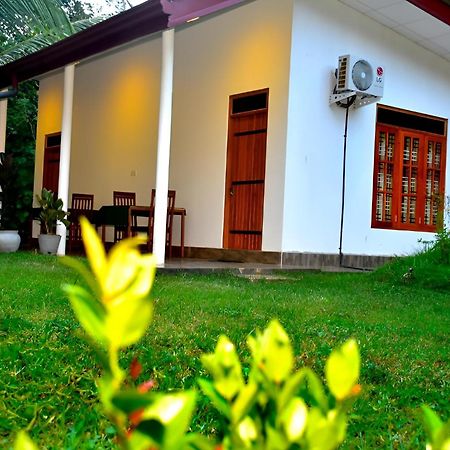 Little Ele Safari Lodge Udawalawe Ngoại thất bức ảnh