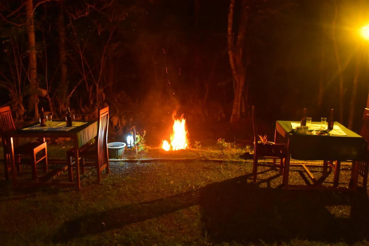 Little Ele Safari Lodge Udawalawe Ngoại thất bức ảnh