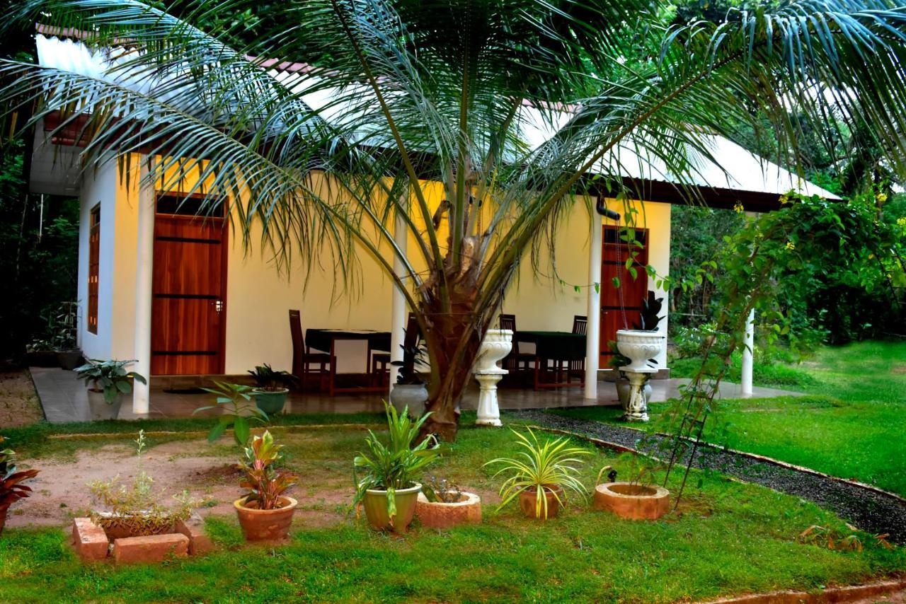 Little Ele Safari Lodge Udawalawe Ngoại thất bức ảnh